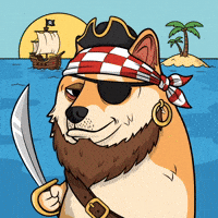 Shiba Inu Ocean GIF by Doge Pound