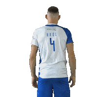 Volleyball Volley Sticker by VERVA Warszawa ORLEN Paliwa