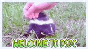 AlexDSDC skunk dsdc alexdsdc drunk skunks drinking club GIF
