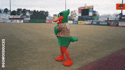 Baseball Texas GIF by Down East Wood Ducks