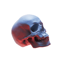 Sticker by îLESONIQ