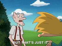 hey arnold nicksplat GIF