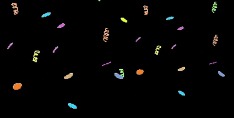 elsagoettingen giphyupload elsa göttingen elsa göttingen GIF