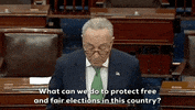 Voting Rights GIF by GIPHY News