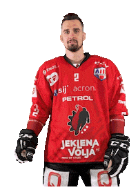 Hockey Hokej Sticker by HDD SIJ Acroni Jesenice