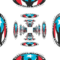 Btt Puerto Rico Sticker by Brazilian Top Team