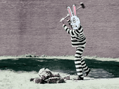 Busk_Algorand giphyupload meme memecoin algo GIF