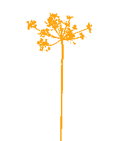 Flower Oerrr Sticker by Natuurmonumenten