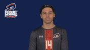 rmuathletics rmu robert morris robert morris university GIF