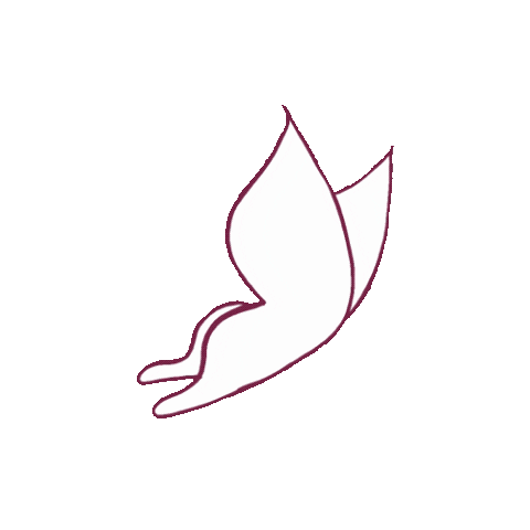altamedinet giphyupload white look butterfly Sticker