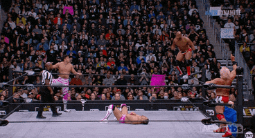 Jeff Jarrett Wrestling GIF by AEWonTV