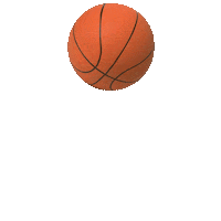 ljubavdesign sport basketball nba ball Sticker