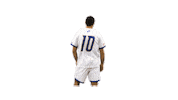 Look Over Mens Lacrosse Sticker by Delaware Blue Hens
