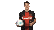 Bayer 04 Spinning Sticker by Bundesliga