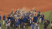 Celebrate Blue Jays GIF by Toronto Blue Jays