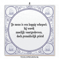 Spreuk Reflectie GIF by Tegelspreuken.nl