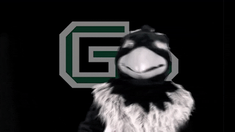 horizonleague giphygifmaker green bay green bay mascot 1 GIF
