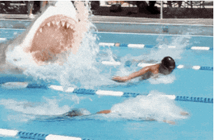 Candy Swimming GIF by Trolli