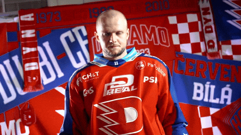 Hockeytown GIF by HC Dynamo Pardubice