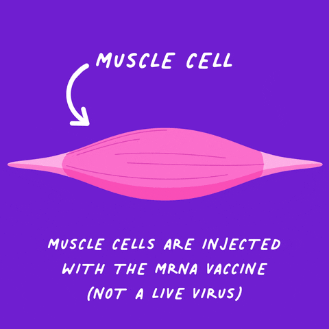 Virus Muscle GIF by Art and Fact
