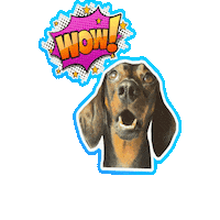 milagency fun wow dogs playing Sticker