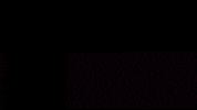The_RGA texas abbott dont mess with texas governor abbott GIF