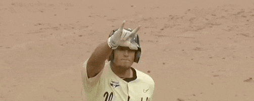 College World Series Baseball GIF by NCAA Championships