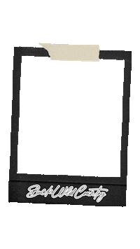 BuckWildCountry bts swipe up country new in Sticker