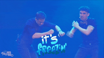 Sean Flanagan Snow GIF by Foil Arms and Hog