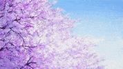 anime scenery GIF