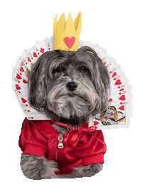 Queen Of Hearts Attitude Sticker