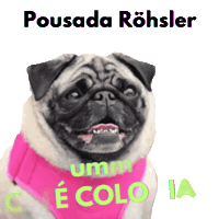 Monteverde Sticker by Amora Pug Brasil