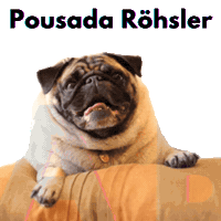 Monteverde Sticker by Amora Pug Brasil