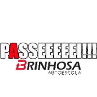 AutoescolaBrinhosa floripa florianopolis autoescola brinhosa Sticker