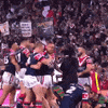 nrl roosters GIF by Channel 9