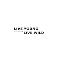 Living The Life Adventure Sticker by Trevieux Clothing