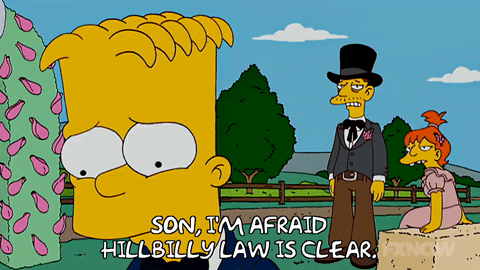 Episode 17 GIF by The Simpsons