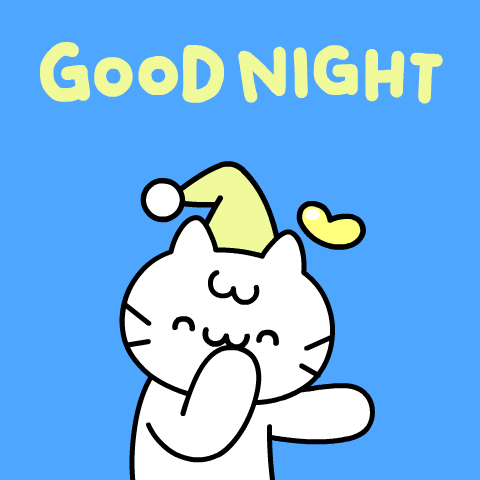 Good Night Cat GIF by Mikitti