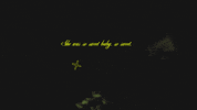 sub pop lyric video GIF by Sub Pop Records
