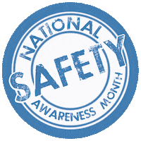 Nsaa Sticker by Solitude Mountain Resort