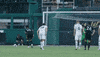 Usl Championship Soccer GIF by New Mexico United