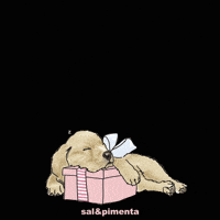salepimentakids salpimenta salandpimenta salepimenta salpimentadog GIF