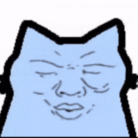 Cat India GIF