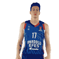 Sport Basketball Sticker by Anadolu Efes SK