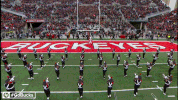 Ncaa Sports GIF by Ohio State Athletics