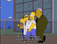 homer simpson GIF