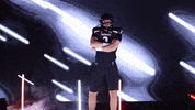 University Of Cincinnati Uc GIF by Cincinnati Bearcats