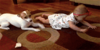 crawl GIF