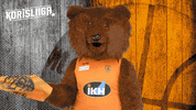 The Bear Mascot GIF by Basket_fi