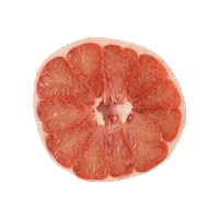 Citrus Pomelo Sticker by Miami Fruit